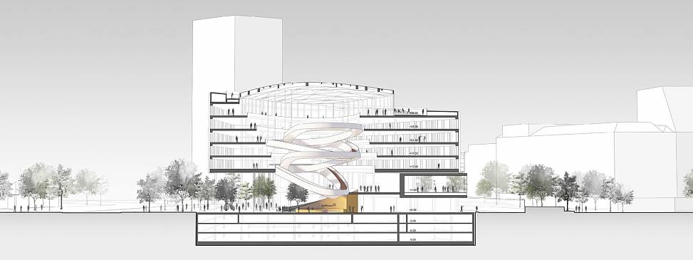 3D section