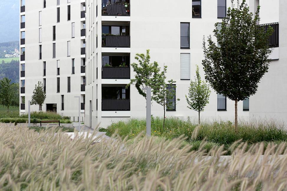 grass fields between buildings | photo