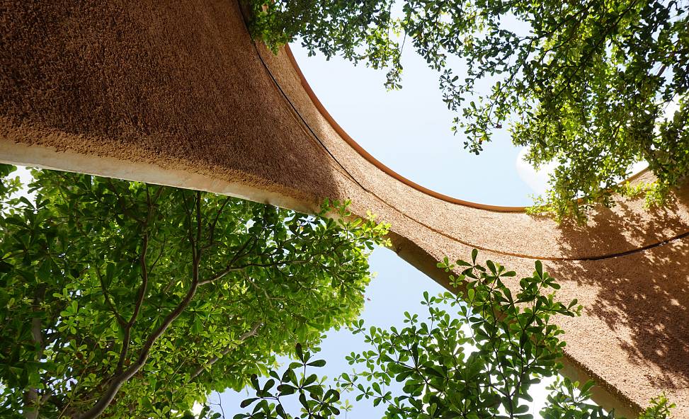 sky view | photo © Carmen Egger