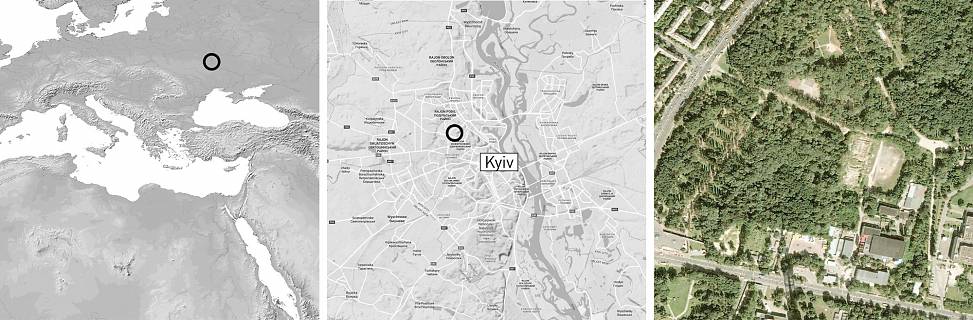 site | maps and aerial photo