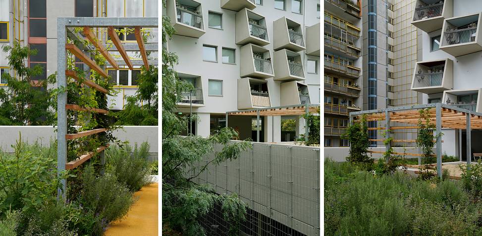 garden deck | photos © Ossian Fraser