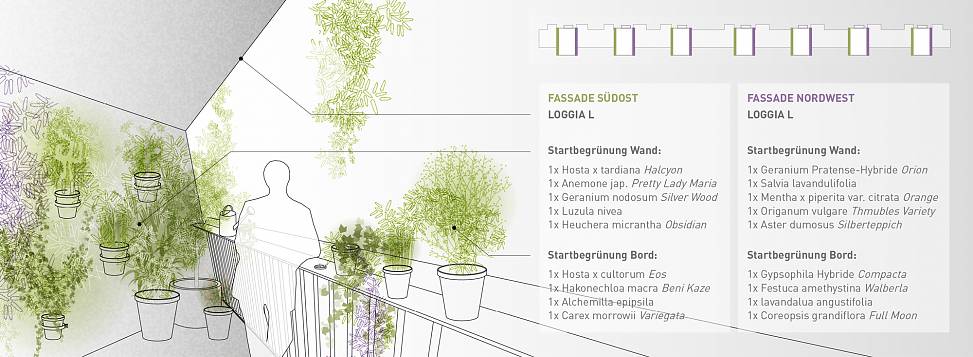 loggia planting concept