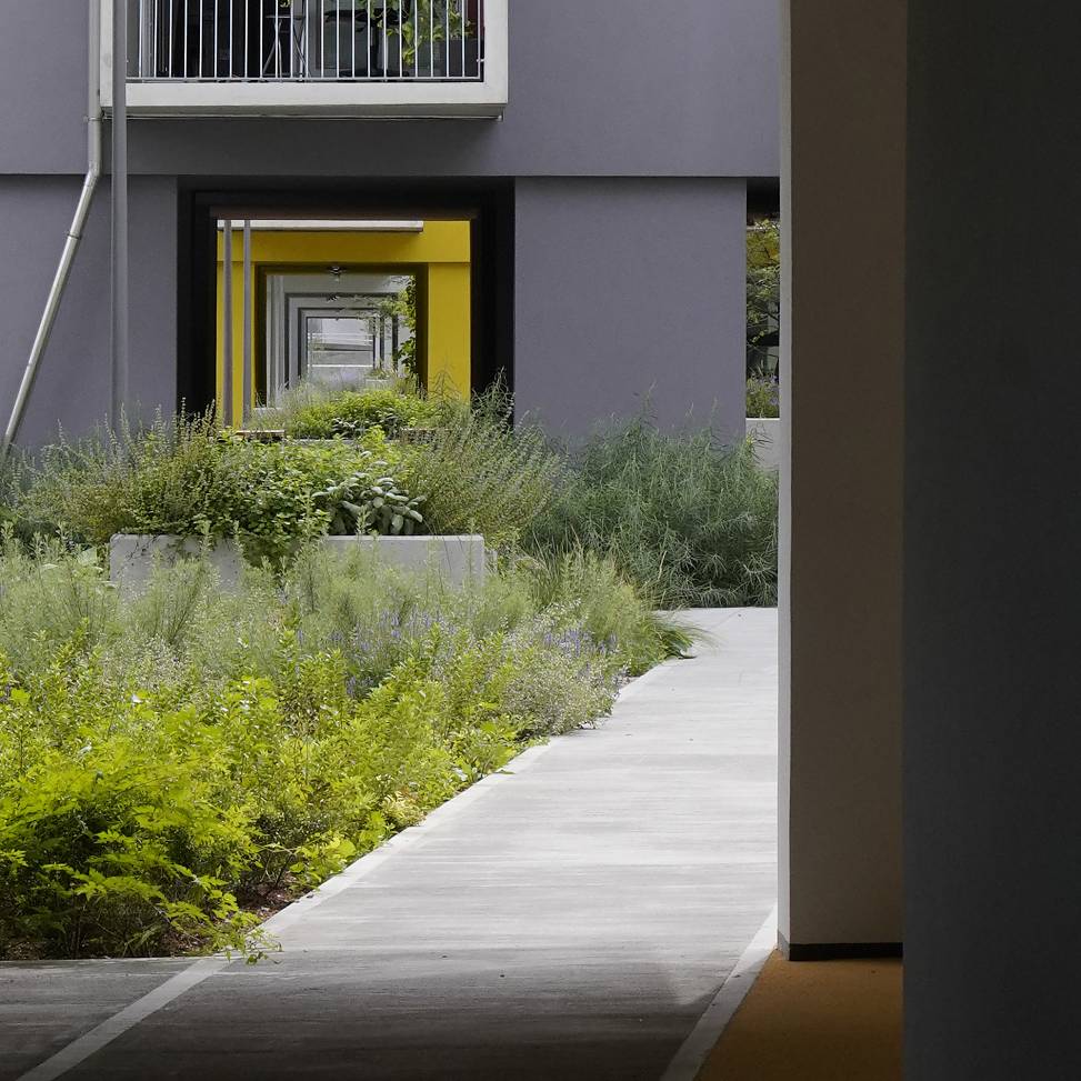 garden deck | photo © Ossian Fraser