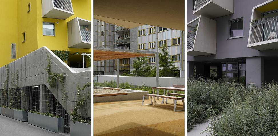 garden deck | photos © Ossian Fraser