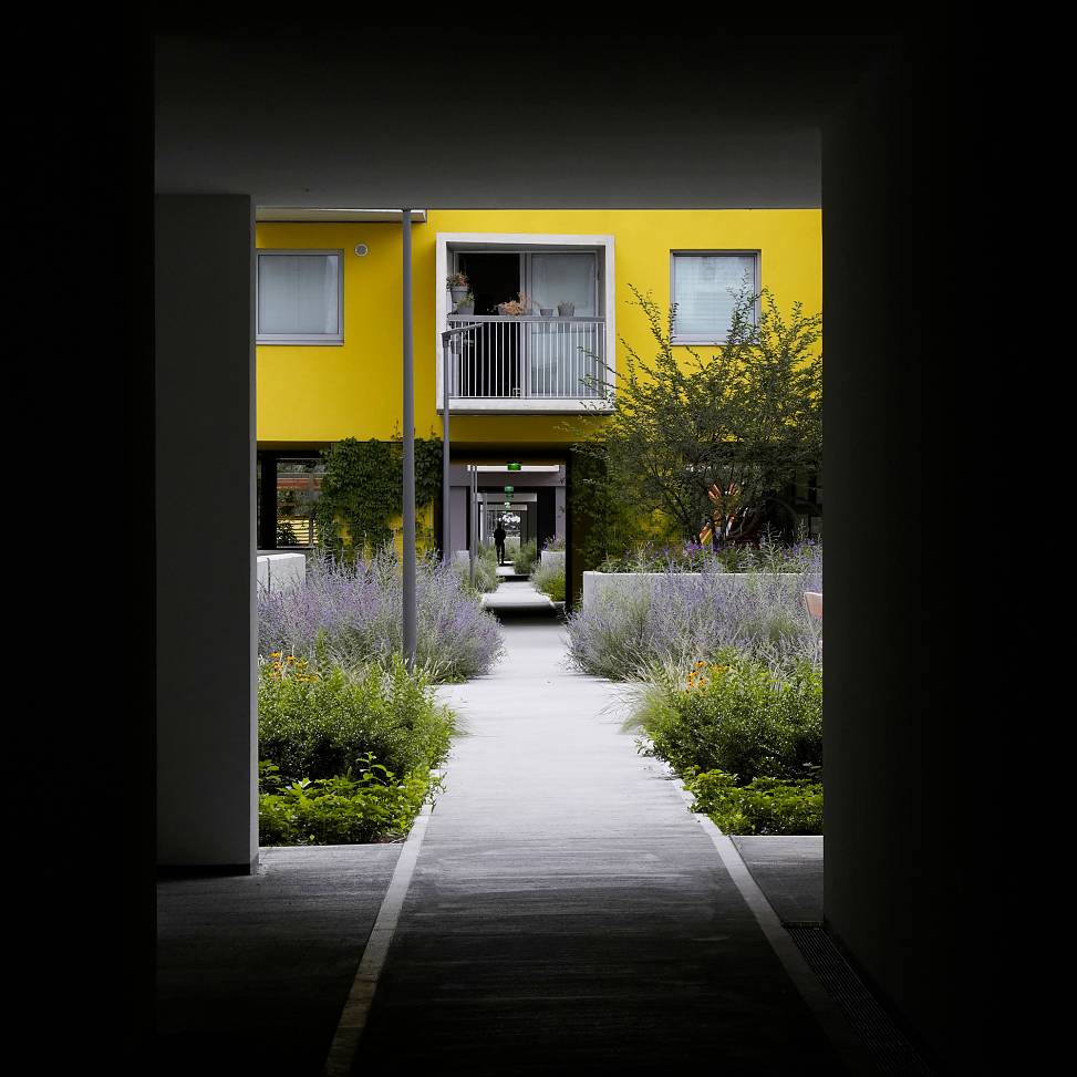 garden deck | photo © Ossian Fraser
