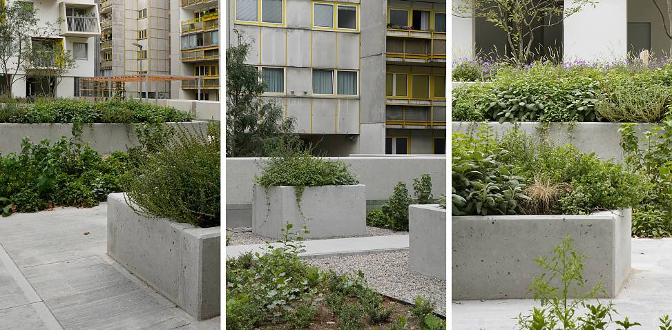 garden deck | photos © Ossian Fraser