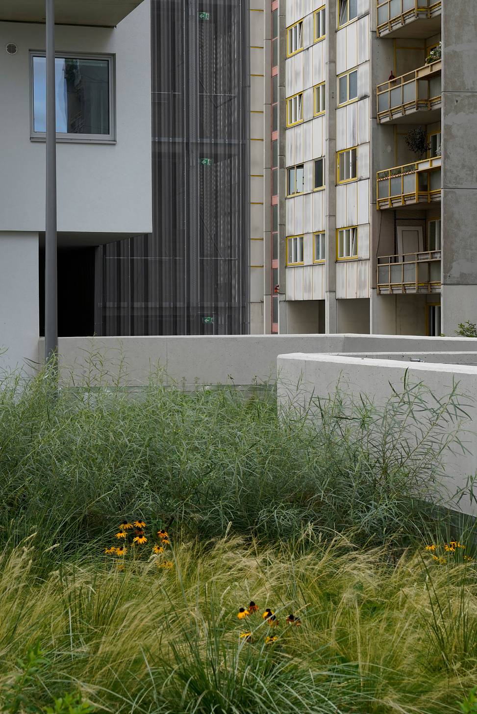garden deck | photo © Ossian Fraser