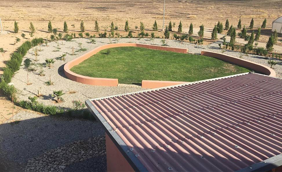 garden status 10/2019 | photo © Zeyad Khalaf Hussein