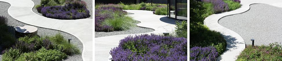courtyard garden path | photos