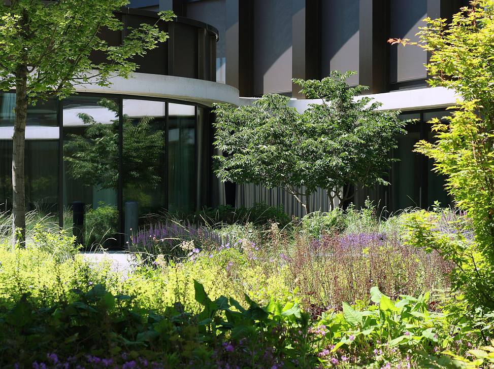 courtyard garden | photo