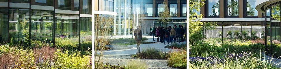 courtyard garden | © paul ott photografiert (photo in middle © HDA)