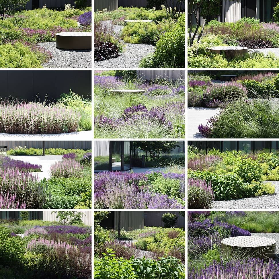 plant combinations | photos