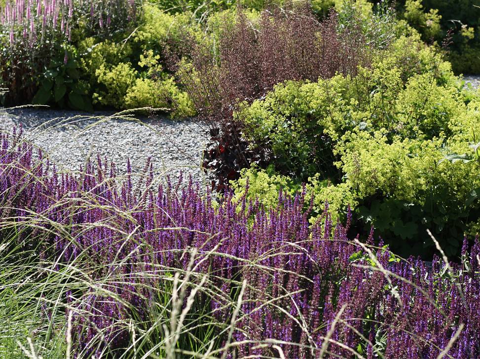 plant detail | photo