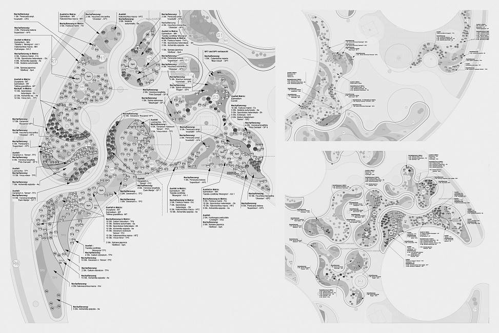 courtyard garden planting plan details