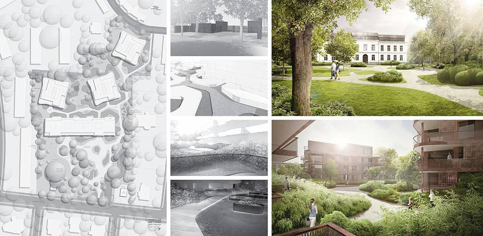 site plan and visualizations