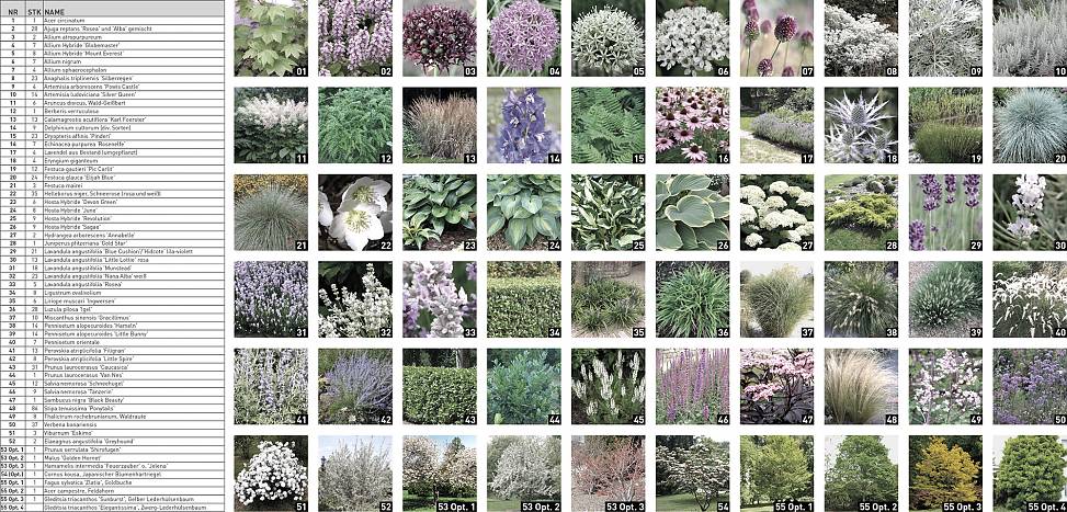 planting list and plants