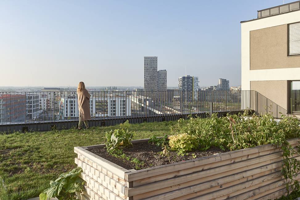 rooftop | photo © Kurt Hoerbst